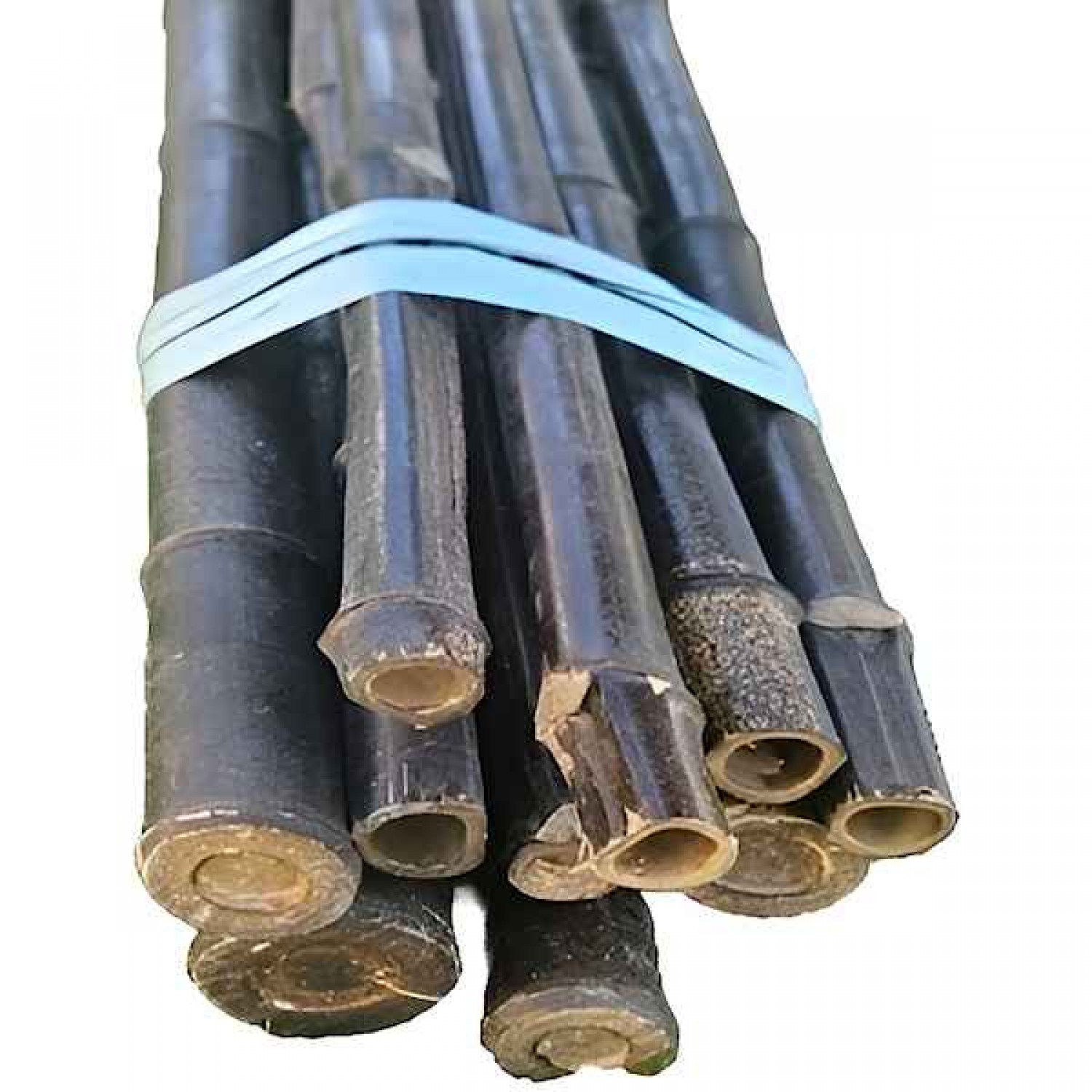 Nursery Black Bamboo Poles Bundle 10pcs D20-25mmx(Η)250cm - Plant Support Natural Canes