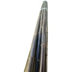 Nursery Black Bamboo Poles Bundle 10pcs D20-25mmx(Η)250cm - Plant Support Natural Canes