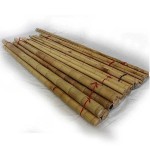 Bamboo Spars - Poles Decoration & Support Natural Color