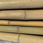 Bamboo Spars - Poles Decoration & Support Natural Color