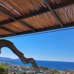 Καλαμωτή Βέργα Λεπτοκαρυάς Αποφλοιωμένη Φ14-28mm 1(Y)x2m με Εσωτερικό Γαλβανιζέ Σύρμα - Φυσικές Καλαμωτές