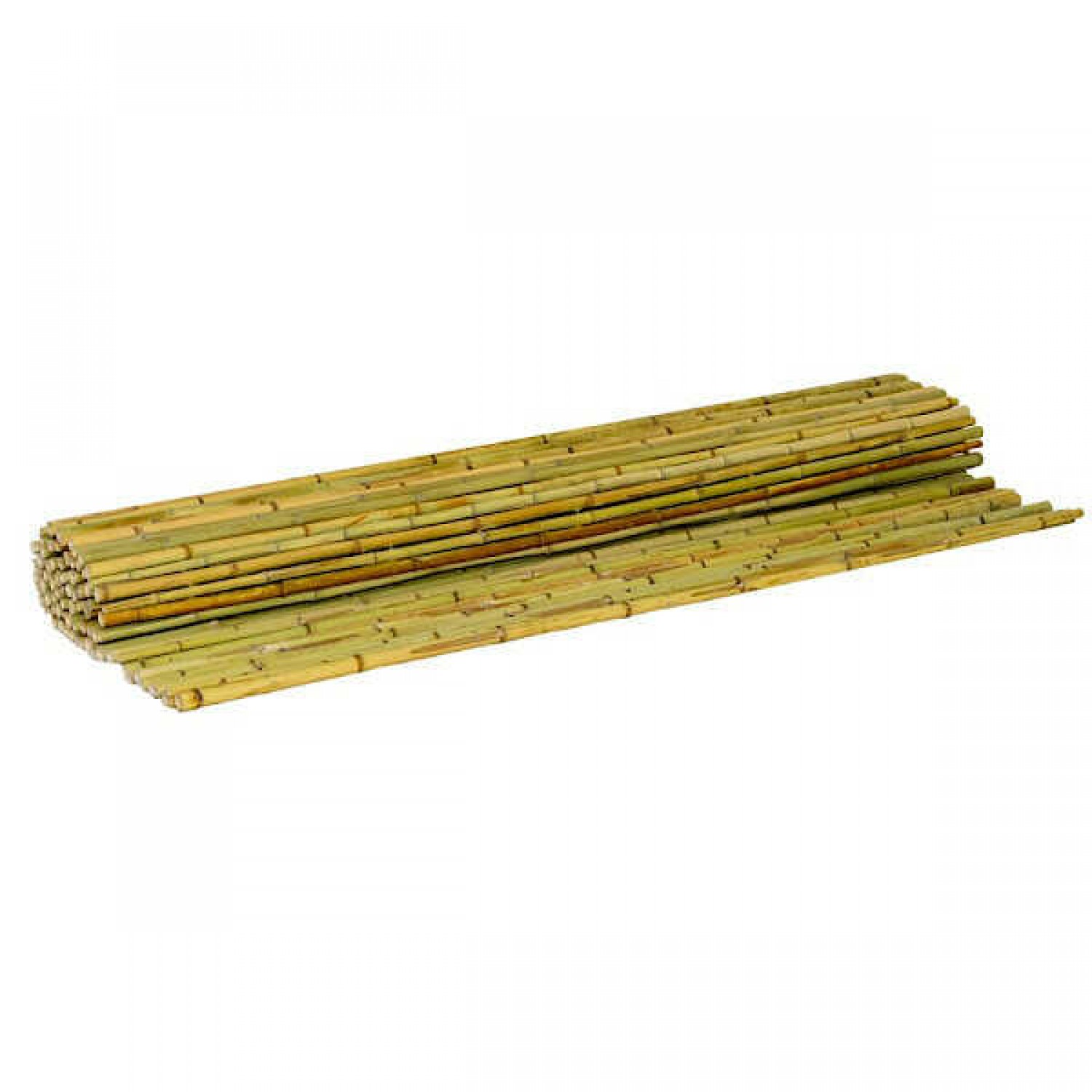 Bamboo Cane Rolls 150(H)x300cm Ø14-20mm