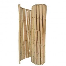 Καλαμωτή Κίτρινο Μπαμπού Φ25-30mm 1(Υ)x2,5m Inox Δέσιμο - Φυσικές Καλαμωτές Κίτρινου Bamboo