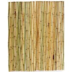 Καλαμωτή Κίτρινο Μπαμπού Φ25-30mm 1(Υ)x2,5m Inox Δέσιμο Καλαμωτή Κίτρινο Μπαμπού Φ25-30mm 1(Υ)x2,5m Inox Δέσιμο - Φυσικές Καλαμωτές Κίτρινου Bamboo