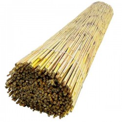 Καλαμωτή Αγριοκάλαμο Ελληνικό Ρολό Φ8-12mm 1(Y)x5m Καλαμωτή Αγριοκάλαμο Ελληνικό Ρολό Φ8-12mm 1(Y)x5m - Φυσικές Καλαμωτές Αγριοκάλαμων