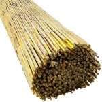 Καλαμωτή Αγριοκάλαμο Ελληνικό Ρολό Φ8-12mm 2(Y)x5m - Φυσικές Καλαμωτές Αγριοκάλαμων