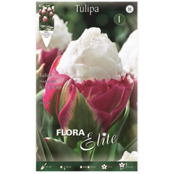 Tulip Ice Cream| kipogeorgiki.gr