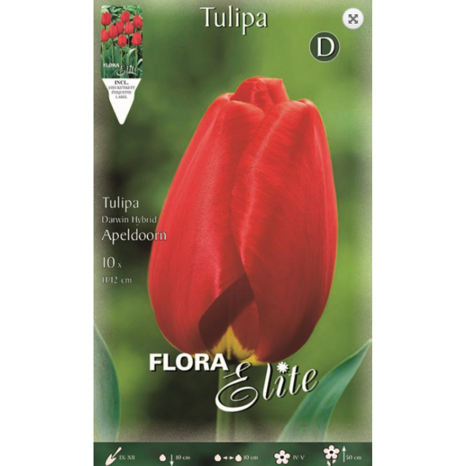 Tulip Apeldoorn | kipogeorgiki.gr