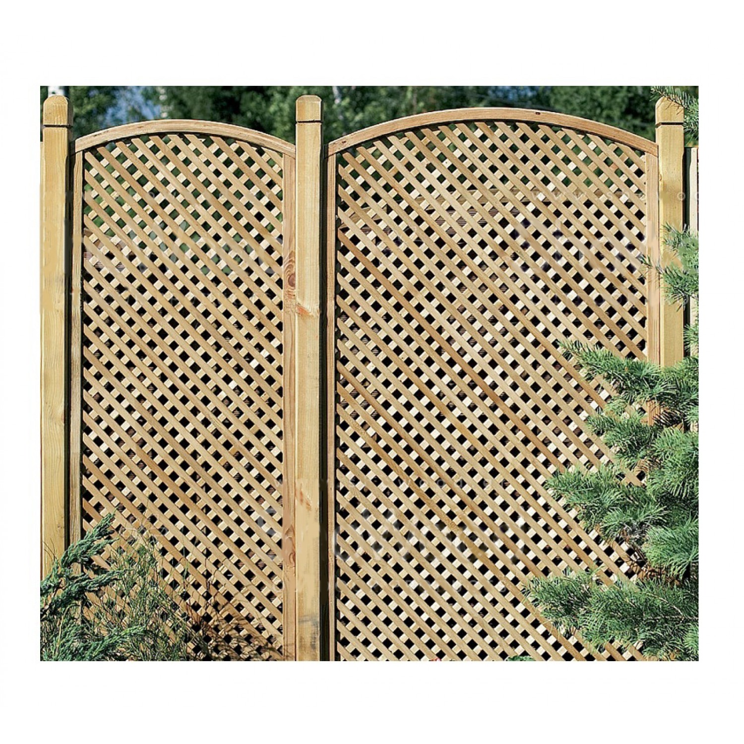 Καφασωτό Διαμάντι Αψίδα LUX (2x2) 120(Y)x180cm - Ξύλινα Καφασωτά Καφασωτά Διαμάντι Αψίδα LUX (2x2) 120(Y)x180cm - Είδη Περίφραξης