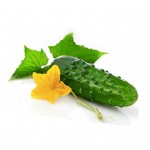 Αγγούρι Κοντό 'Marketmore' Σπόροι | kipogeorgiki.gr