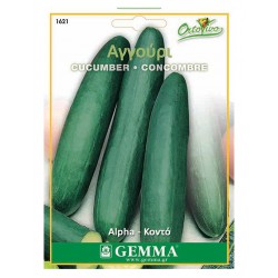 Αγγούρι Κοντό 'Beth Alpha' Σπόροι | kipogeorgiki.gr