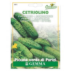 Αγγούρι Κοντό Τουρσί 'Cornichon de Paris' Σπόροι | kipogeorgiki.gr