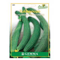 Αγγούρι Ξυλάγγουρο Tortarello Barese Σπόροι | kipogeorgiki.gr