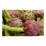 Artichoke 'Romana Violet' Seeds | kipogeorgiki.gr
