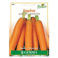 Carrot 'Nantes' 