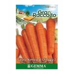 Καρότο 'Nantes di Chioggia 2' 26g Σπόροι Φακελάκι