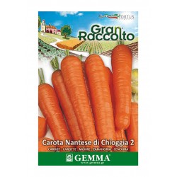 Carrot 'Nantes di Chioggia 2' Seeds 20g Packet (Daucus carota 'Nantes di Chioggia 2') - Carrot Seed in Packets Carrot 'Nantes di Chioggia 2' Seeds 20g Packet
