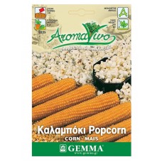 Corn Seeds for Popcorn | kipogeorgiki.gr