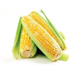 Καλαμπόκι Γλυκό Σπόροι | kipogeorgiki.gr