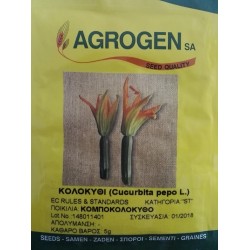 Squash Traditional 'Kompokolokytho' Seed (Curcubita pepo) | kipogeorgiki.gr