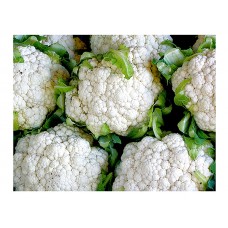 Cauliflower Snowball Erfurter Seeds (Brassica oleracea var. botrytis) | kipogeorgiki.gr
