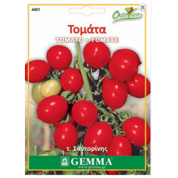 Tomato cherry|kipogeorgiki.gr
