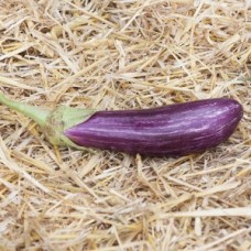 Eggplant  long - Tsakonian Organic vegetables