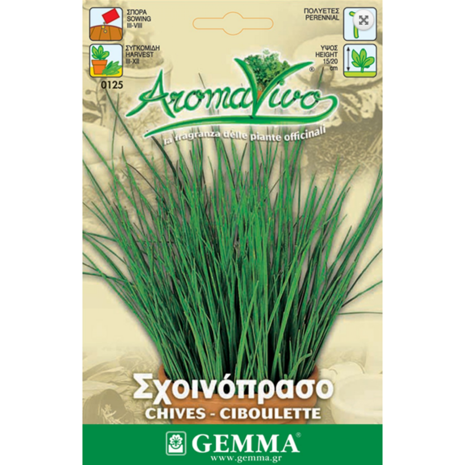 Chives Seeds Packet 12650 (Allium schoenoprasum) - Seed for Chives Chives Seeds Packet 12650 (Allium schoenoprasum)