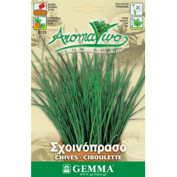 Chives Seeds Packet 12650 (Allium schoenoprasum) - Seed for Chives Chives Seeds Packet 12650 (Allium schoenoprasum)