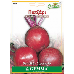 Beetroot Detroit 2 Beetroot Detroit 2 | kipogeorgiki.gr