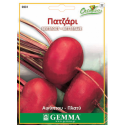Beetroot Egypt Beetroot Egypt | kipogeorgiki.gr
