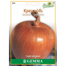 Onion | kipogeorgiki.gr