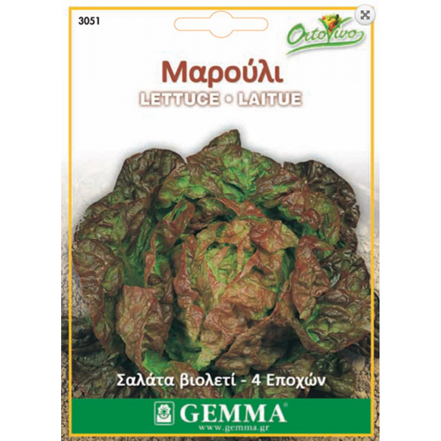 Μαρούλι Σαλάτα Βιολετί | kipogeorgiki.gr