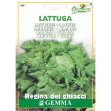 Μαρούλι Σαλάτα Καλοκαιρινό | kipogeorgiki.gr