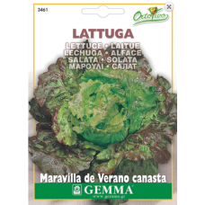 Lettuce Salad Long Life (30 days)Seeds | kipogeorgiki.gr