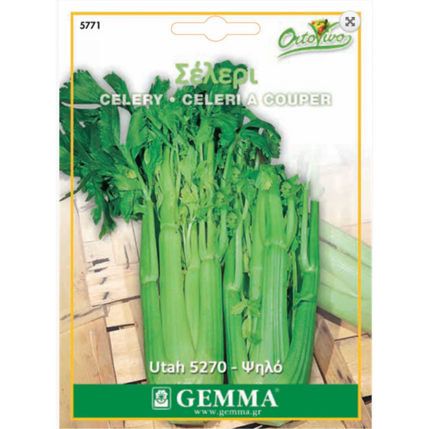 Celery | kipogeorgiki.gr