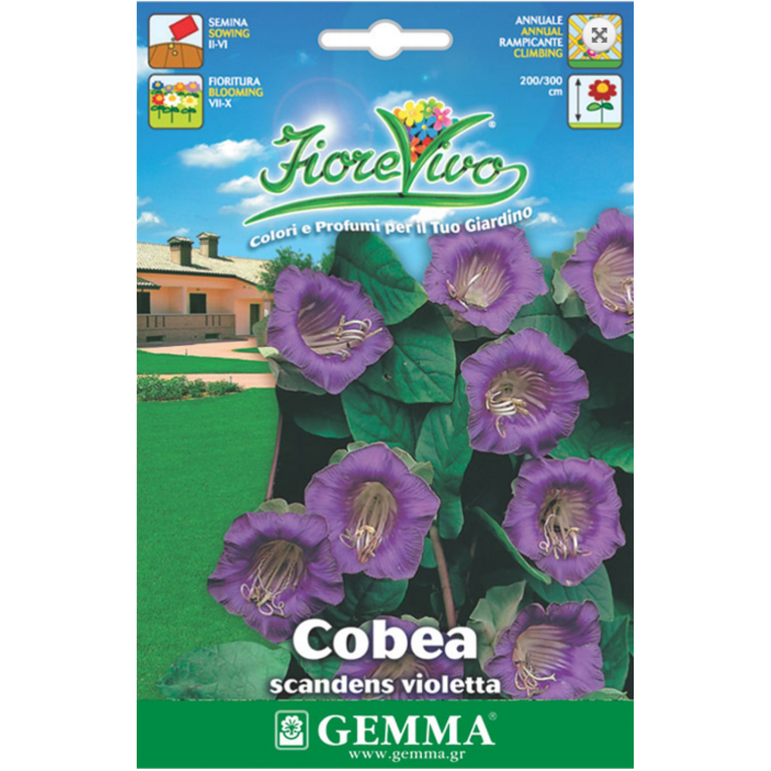 Cup and Saucer Vine Mix Seeds 0.3g (Cobaea scandens)