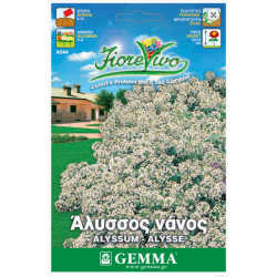 Sweet Alyssum White Dwarf Seeds 0.6g Packet (Alyssum maritimum)