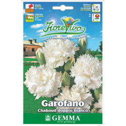 Carnation Double White Seeds 0.4g Packet (Dianthus caryophyllus) - Seed for Double Red Carnations Carnation Double White Seeds 0.4g-Dianthus caryophyllus