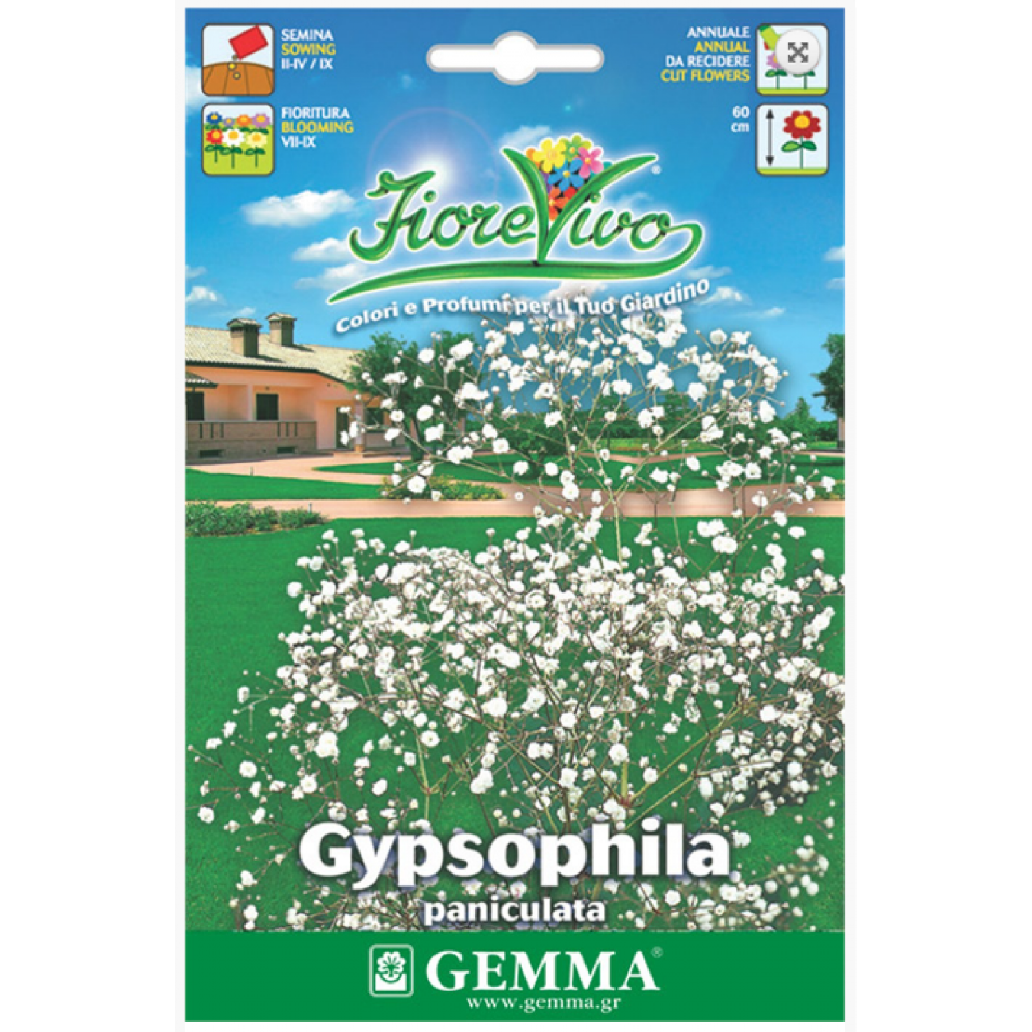 Γυψοφίλη Μικρό Άνθος 2,5g Σπόροι-Gypsophila paniculata