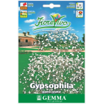 Γυψοφίλη Μικρό Άνθος 2,5g Σπόροι-Gypsophila paniculata