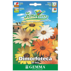 Cape Marigold Mix Seeds 0.3g Packet (Dimorphotheca aurantiaca) - Seed for Cape Marigolds Cape Marigold Mix Seeds 0.3g (Dimorphotheca aurantiaca)