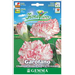Carnation Double Bicolor Seeds 0.4g Packet (Dianthus caryophyllus) - Seed for Double Carnations Carnation Double Bicolor Seeds 0.4g-Dianthus caryophyllus