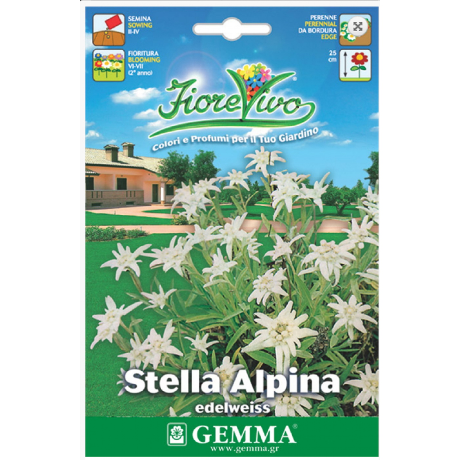 Edelweiss White Seeds 0.5g Packet (Leontopodium nivale)