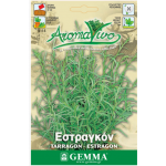 Εστραγκόν ή Τάραγκον Σπόροι Φακελάκι 12644 (Artemisia dracunculus) - Σπόρος για Αρτεμισίες Εστραγκόν ή Τάραγκον Σπόροι (Artemisia dracunculus)