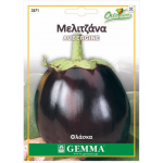 Μελιτζάνα Φλάσκα Μαύρη Σπόροι (Solanum melongena) Μελιτζάνα Φλάσκα Μαύρη Σπόροι (Solanum melongena) | kipogeorgiki.gr