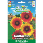 Γκαϊλάρδια Μίγμα 0,45g Σπόροι Φάκελος (Gaillardia aristata) - Σπόρος για Γκαϊλάρδιες Γκαϊλάρδια Μίγμα 0,45g Σπόροι (Gaillardia aristata)