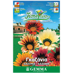 Treasure Flower Mix Seeds 0.15g (Gazania splendens)