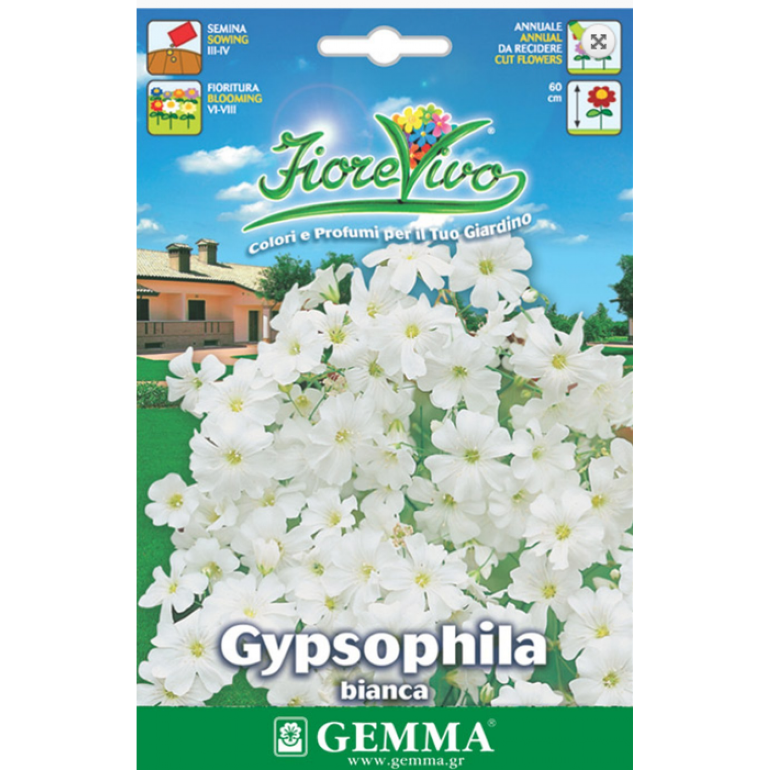 Γυψοφίλη Λευκή-Ακτόστια 2,5g Σπόροι (Gypsophila spp.)