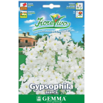 Γυψοφίλη Λευκή-Ακτόστια 2,5g Σπόροι (Gypsophila spp.)